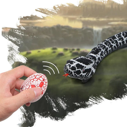 Remote Control Simulation Snake.