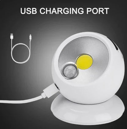 Wall Mounted Motion Sensor Light