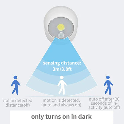 Wall Mounted Motion Sensor Light