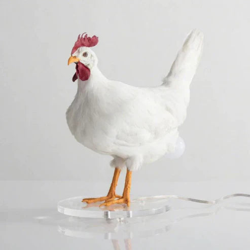 Chicken Egg Lamp