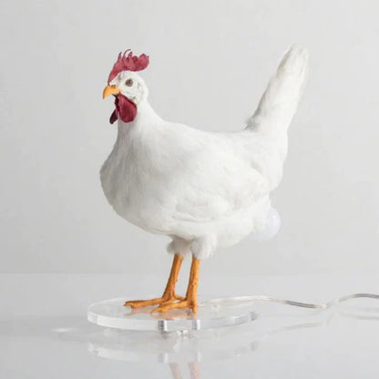 Chicken Egg Lamp