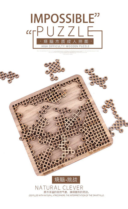3D Brain-teaser Wooden Puzzles