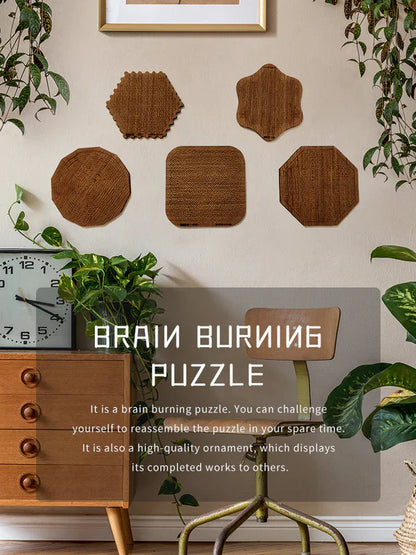 3D Brain-teaser Wooden Puzzles