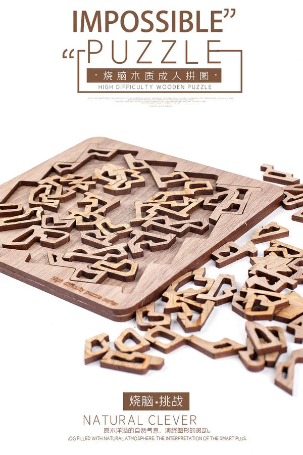 3D Brain-teaser Wooden Puzzles