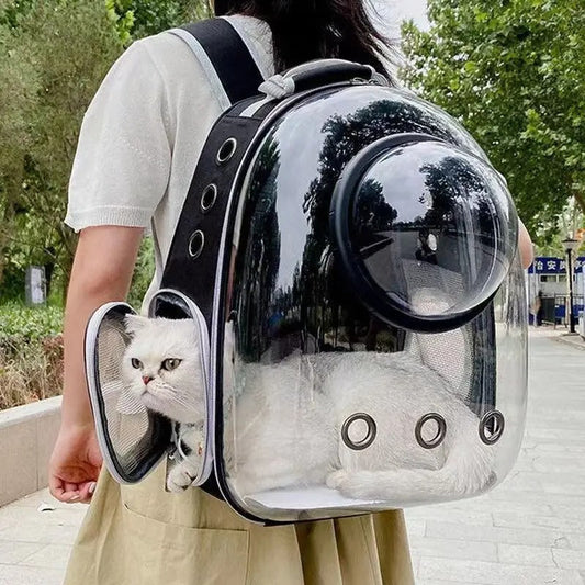 Pet Cat Carrying Bag Space