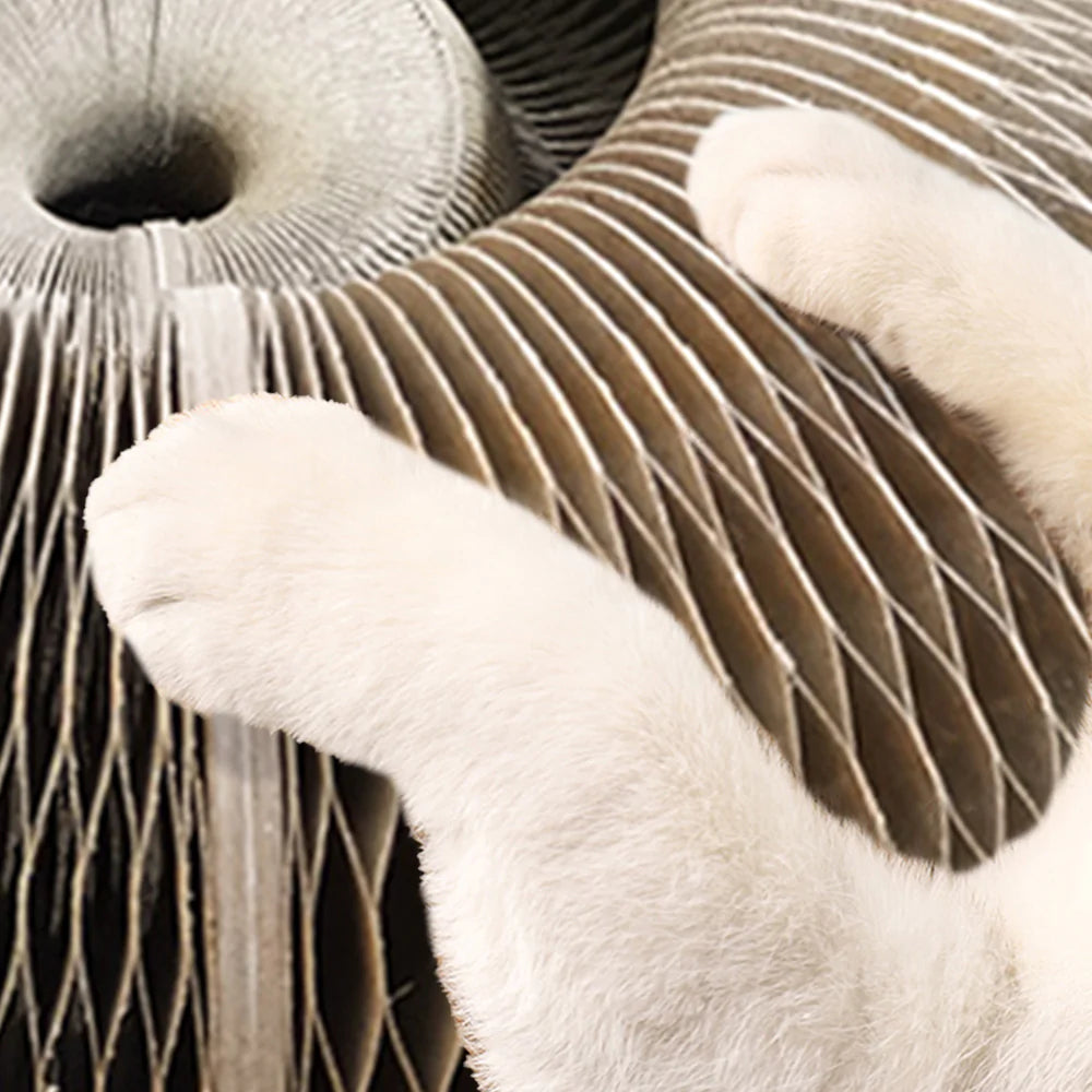 Magic Organ Scratch Board Cat Toy with Bell